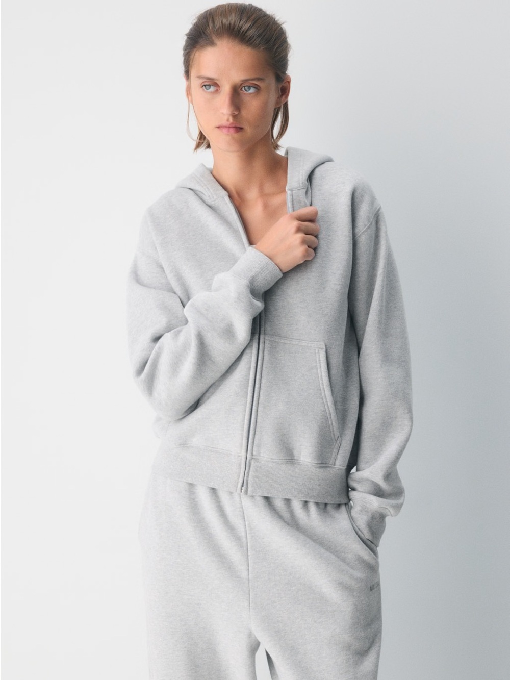 Aritzia Cozy Sweatfleece Perfect Zip Hoodie XL